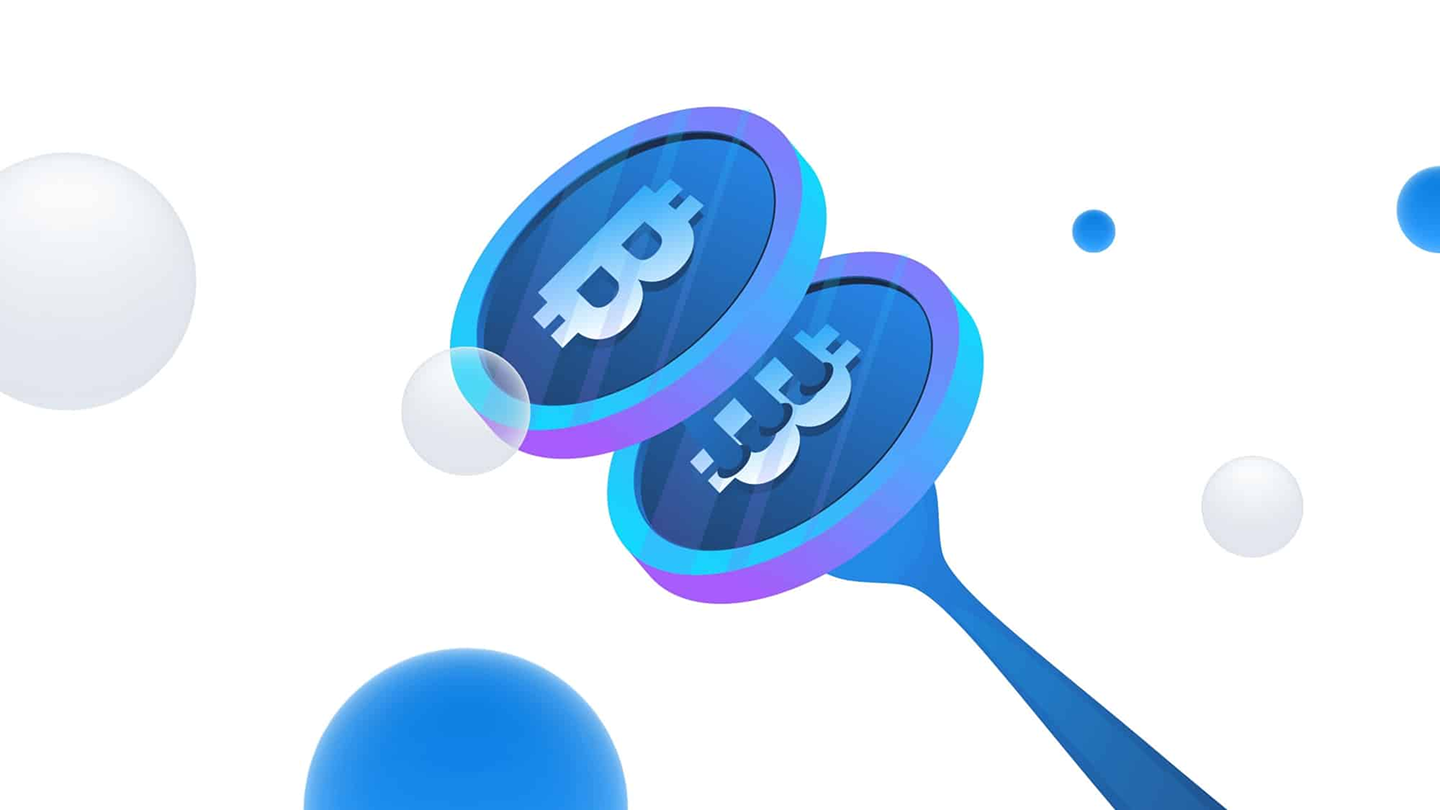 The Mechanics of Hard Forks. How Blockchain Networks Evolve Through Radical Change